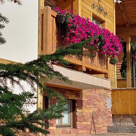 Villa Natural Wood Златибор Екстериор снимка