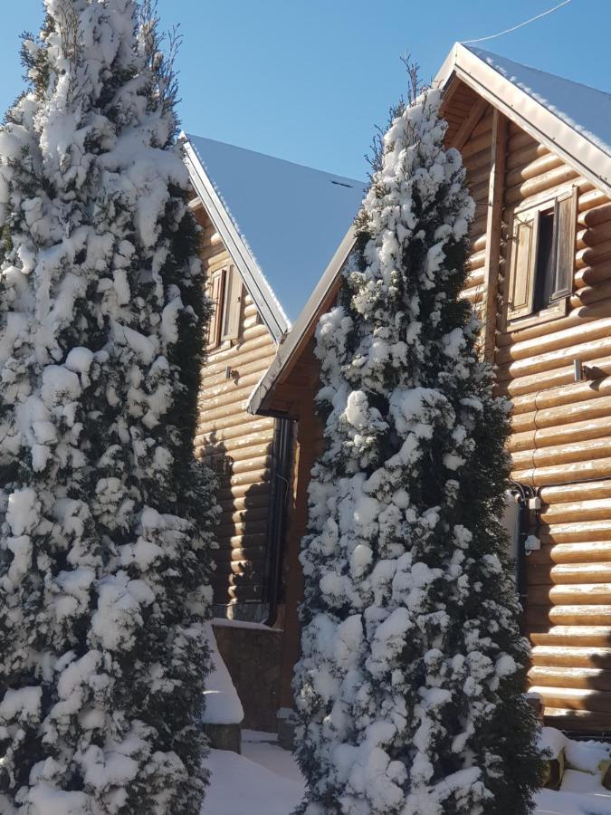 Villa Natural Wood Златибор Екстериор снимка